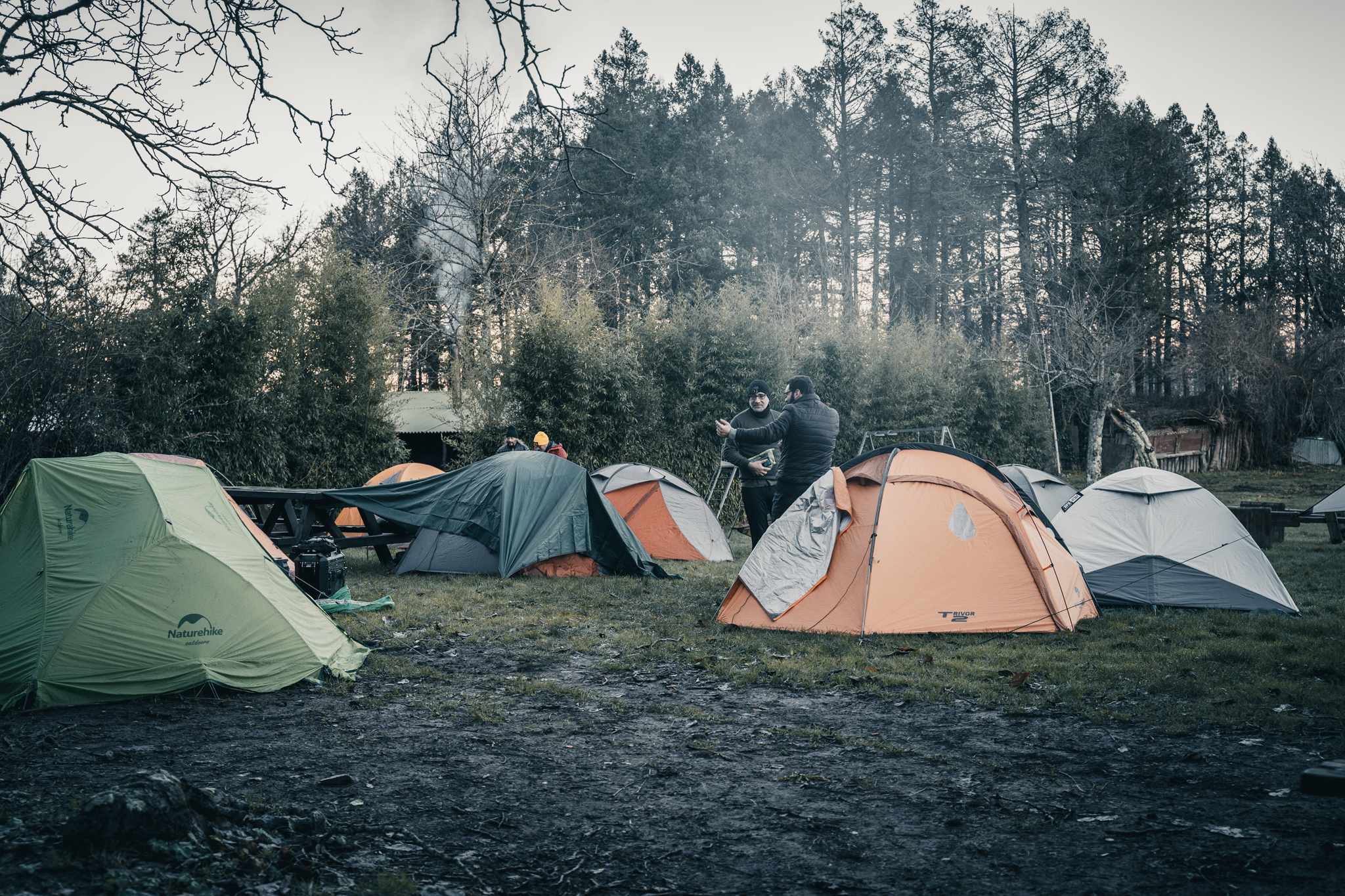 SEIPERCENTO BASECAMP 12° - Ostello - immagine 4